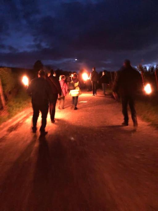 Wohnen Direkt Am Moselstrand Leilighet Bernkastel-Kues Eksteriør bilde