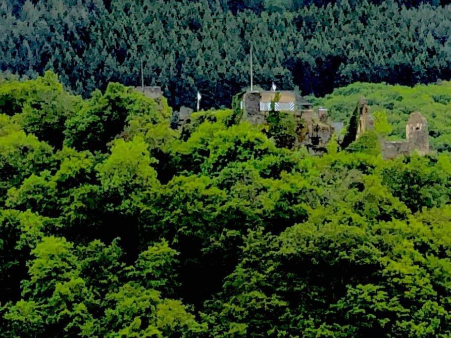 Wohnen Direkt Am Moselstrand Leilighet Bernkastel-Kues Eksteriør bilde