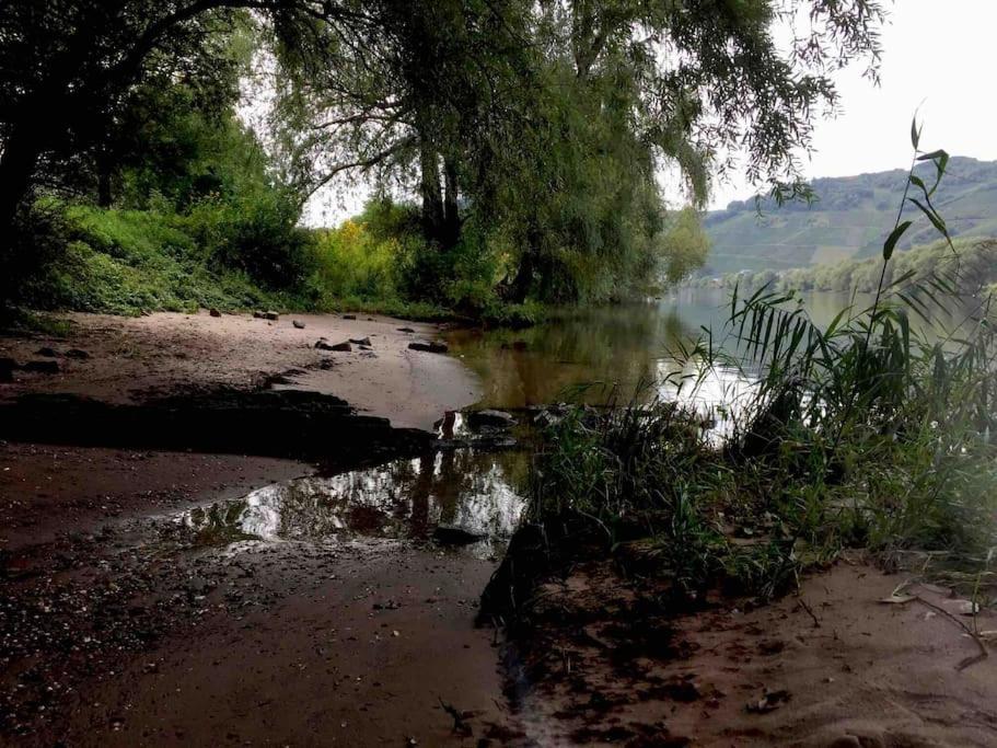 Wohnen Direkt Am Moselstrand Leilighet Bernkastel-Kues Eksteriør bilde